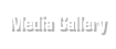 Media Gallery